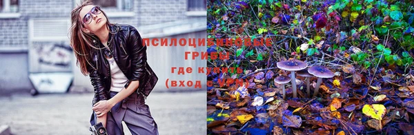 крисы Горно-Алтайск