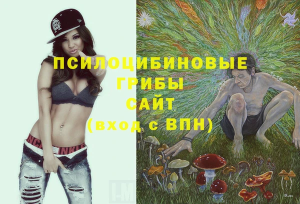 прущая мука Вязьма