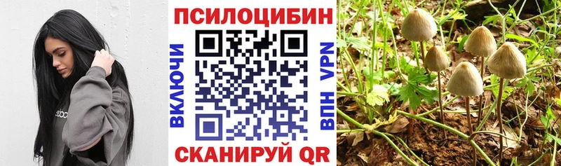 kraken ССЫЛКА  Дальнегорск  Галлюциногенные грибы Psilocybe 